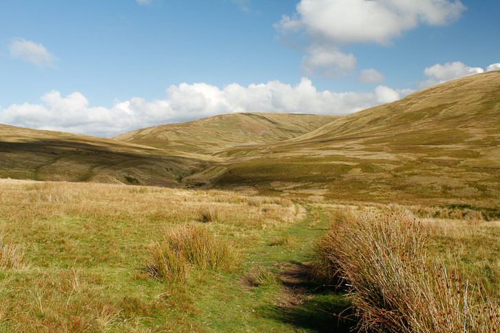 Lank Rigg